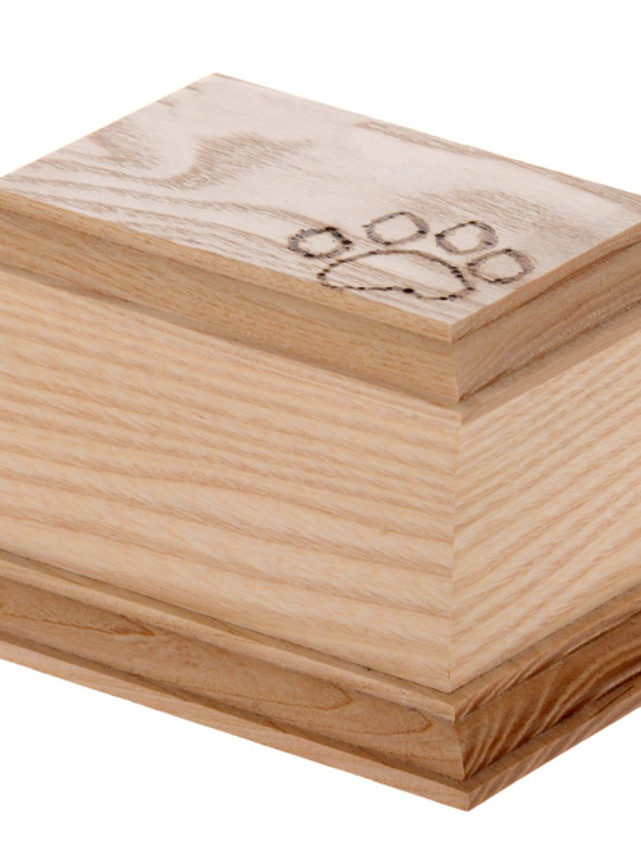 Small,Animal,Urn,With,Paw,Imprint